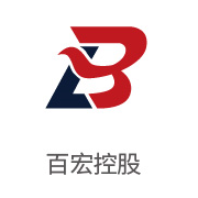 南宫NG28合作同伴：百宏控股