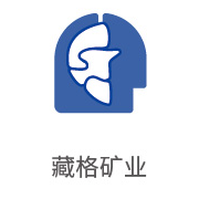 南宫NG28合作同伴：藏格矿业
